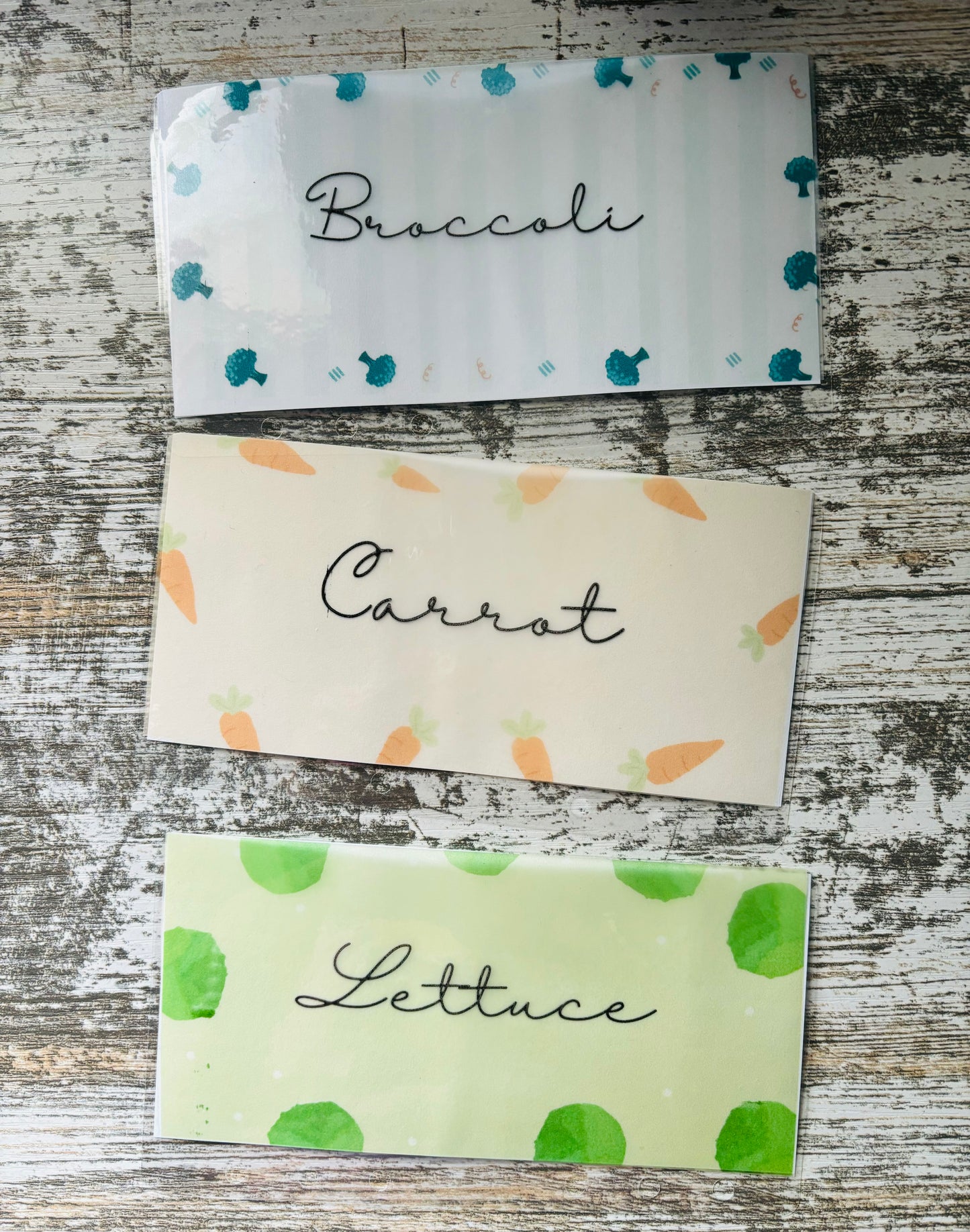 Vegetable Savings Challenge Cash Envelopes