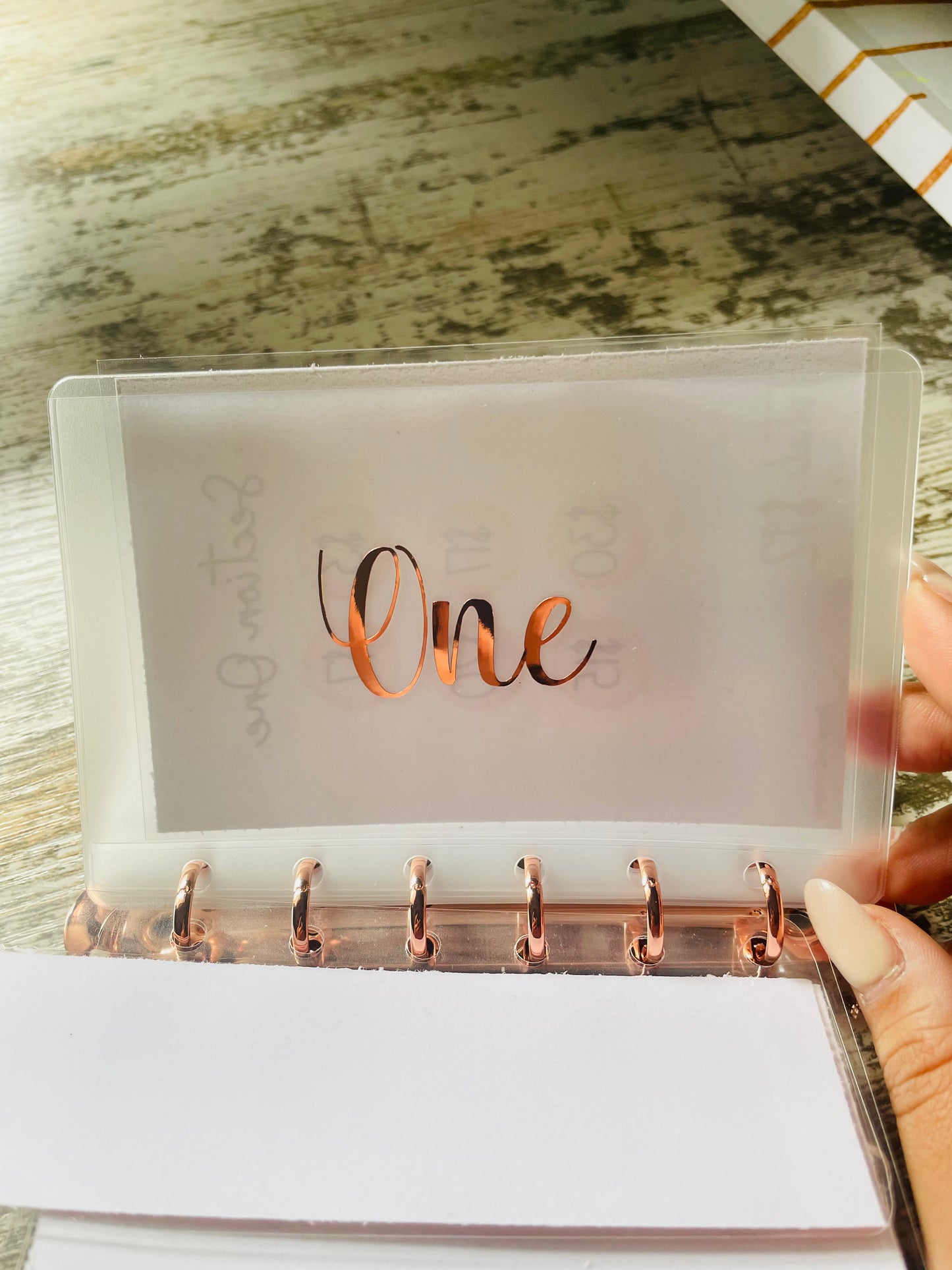 $1K Emergency Fund Savings Binder