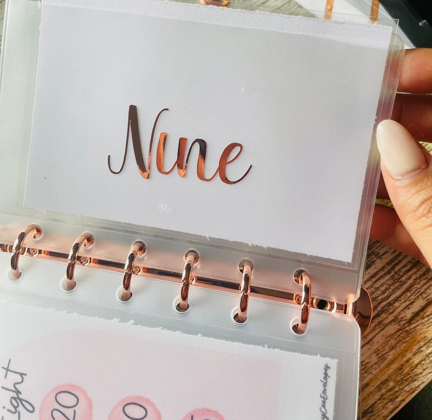 $1K Emergency Fund Savings Binder